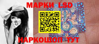 мяу мяу мука Гатчина