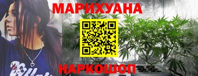 мяу мяу мука Гатчина