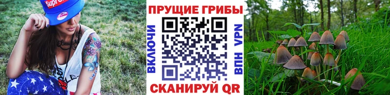 магазин  наркотиков  сайты даркнета официальный сайт  Галлюциногенные грибы мицелий  Коммунар 