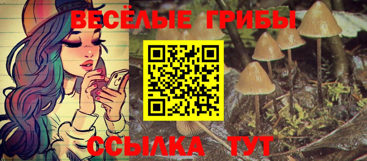 Псилоцибиновые грибы Psilocybe Коммунар
