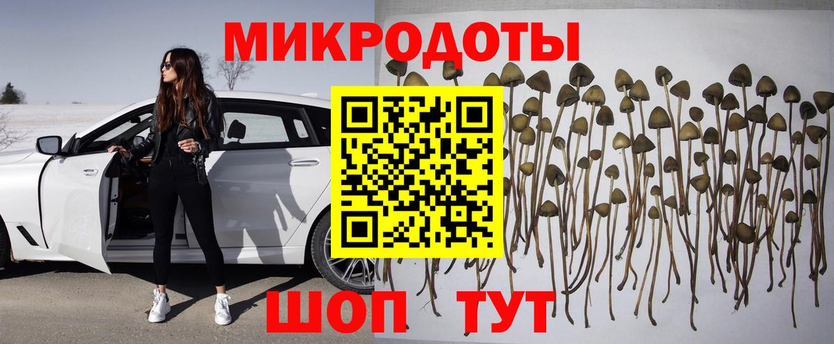 Коммунар  Псилоцибиновые грибы Psilocybine cubensis  Вход с VPN 